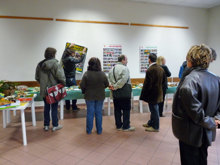 Mostra micologica con partecipazione di NM